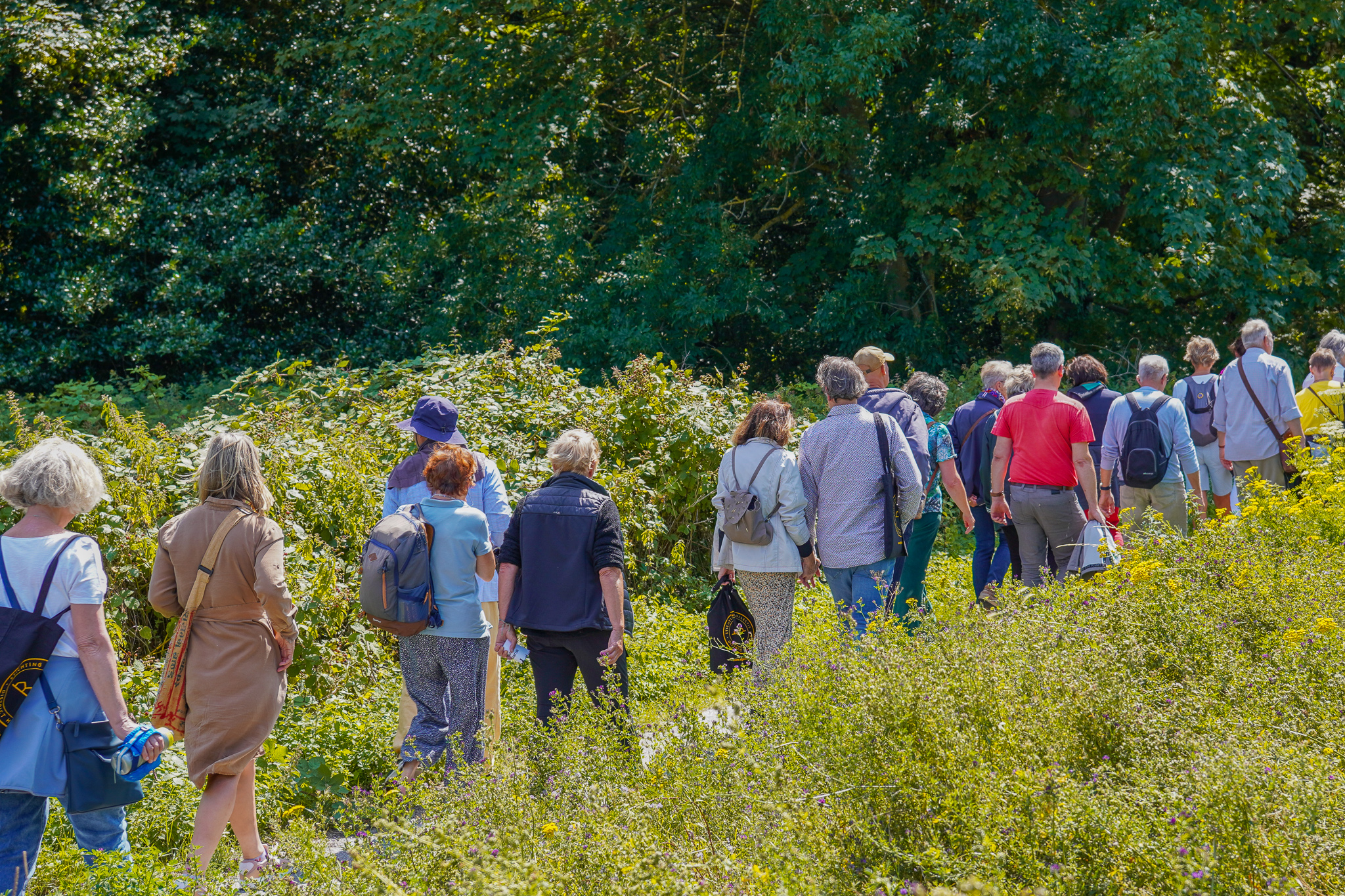 Zo’n 60 wandelaars genieten van verrassend en veelzijdig Hoek van Holland